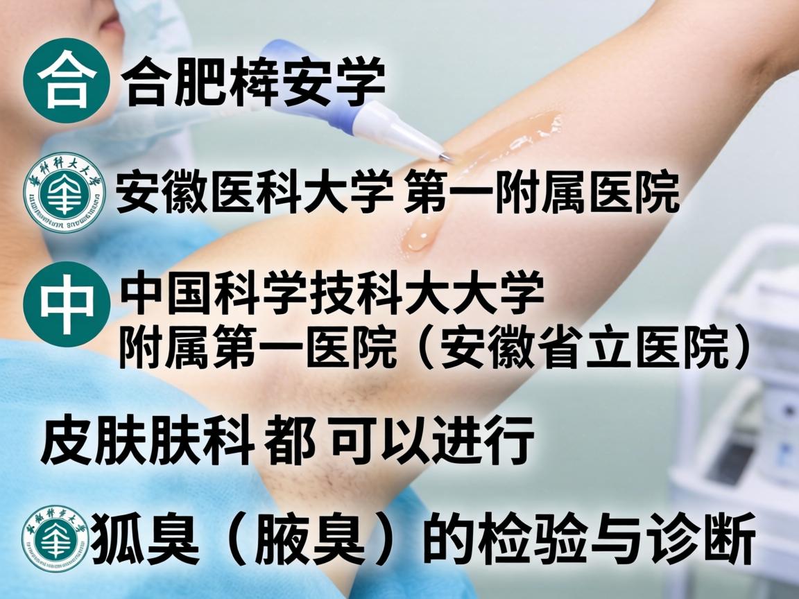 在合肥，安徽医科大学第一附属医院和中国科学技术大学附属第一医院（安徽省立医院）的皮肤科都可以进行狐臭（腋臭）的检验与诊断