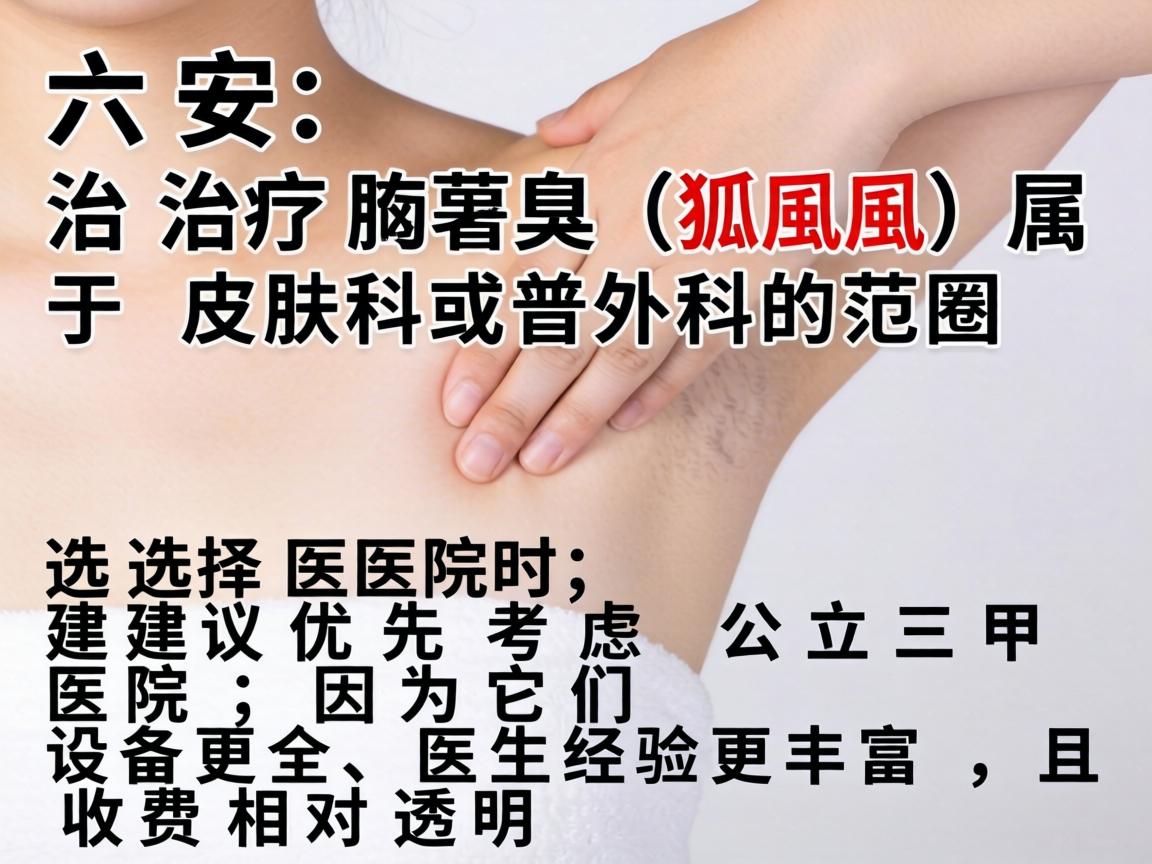 在六安，治疗腋臭（狐臭）属于皮肤科或普外科的范畴。选择医院时，建议优先考虑公立三甲医院，因为它们设备更全、医生经验更丰富，且收费相对透明