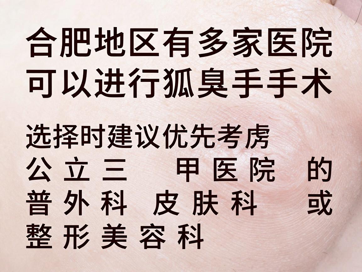 合肥地区有多家医院可以进行狐臭手术，选择时建议优先考虑公立三甲医院的普外科、皮肤科或整形美容科。以下是几家在当地口碑较好、技术较成熟的医院（按综合推荐排序）
