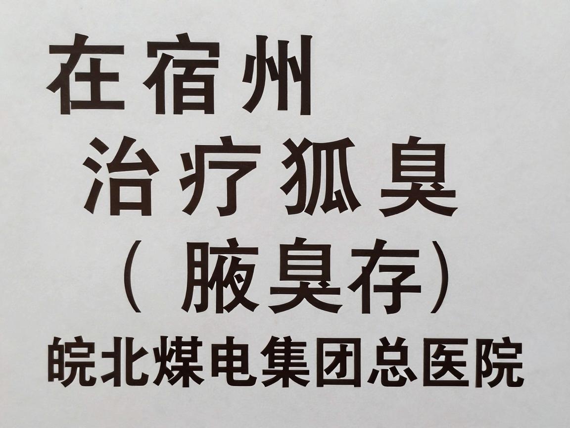 在宿州，治疗狐臭（腋臭）比较推荐的医院通常是宿州市立医院或皖北煤电集团总医院。这两家都是当地的三甲医院，正规、专业，且拥有开展微创手术的条件