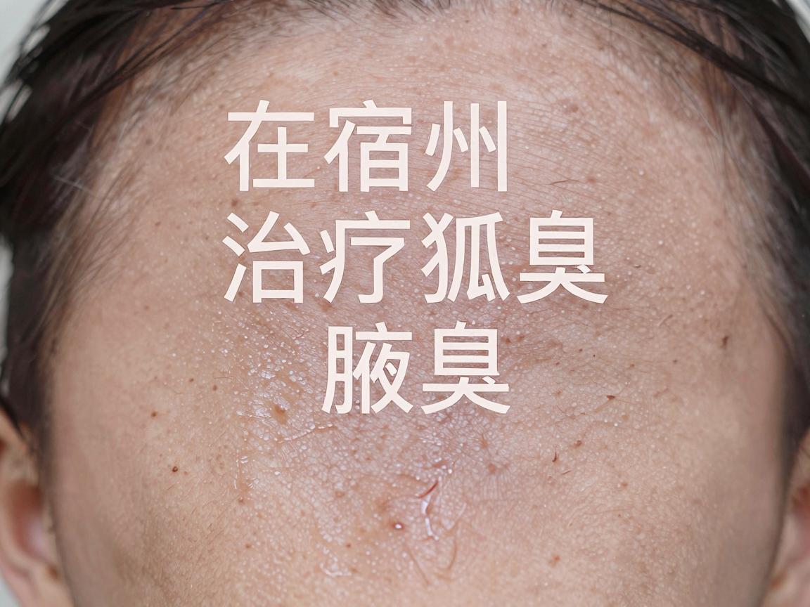 在宿州，治疗狐臭（腋臭）比较推荐的医院通常是宿州市立医院或皖北煤电集团总医院。这两家都是当地的三甲医院，正规、专业，且拥有开展微创手术的条件