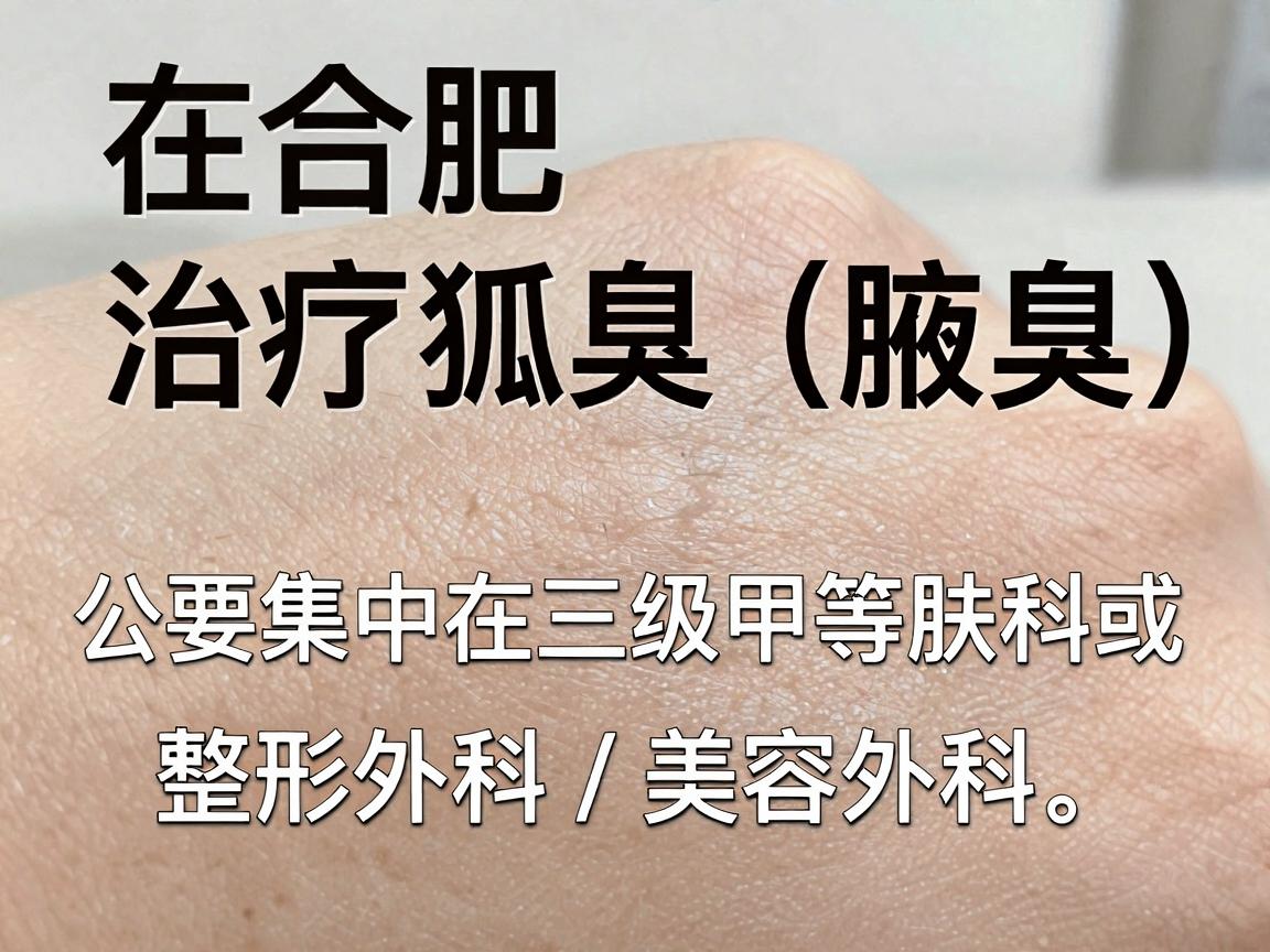 在合肥，治疗狐臭（腋臭）的公立医院主要集中在三级甲等医院的皮肤科或整形外科/美容外科。以下是几家口碑较好、技术成熟的国家级或省市级公立医院推荐