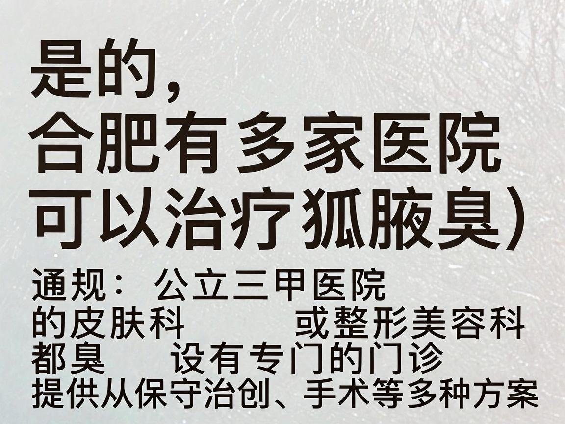 是的，合肥有多家医院可以治疗狐臭（腋臭）通常，正规公立三甲医院的皮肤科或整形美容科都设有专门的门诊，提供从保守治疗到微创、手术等多种方案