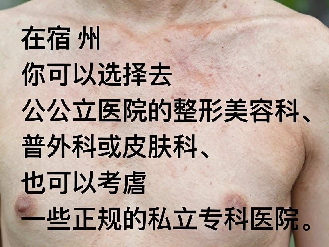 在宿州，你可以选择去公立医院的整形美容科、普外科或皮肤科，也可以考虑一些正规的私立专科医院。以下是具体的推荐和注意事项